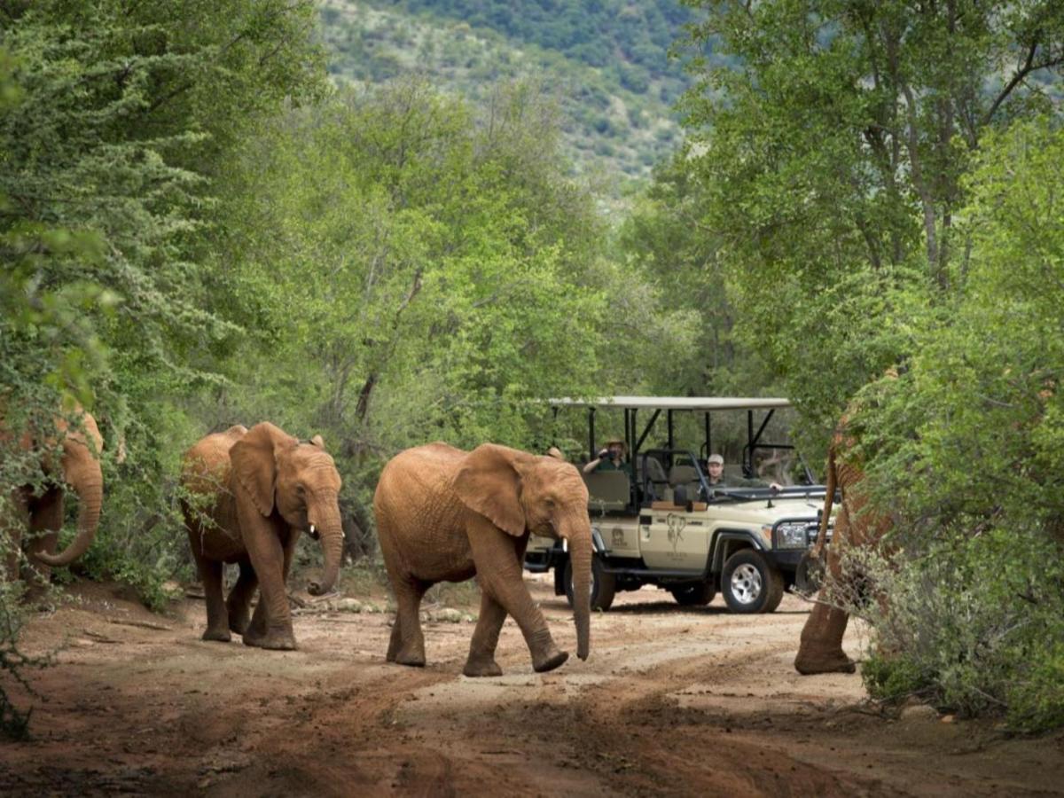 Mbazo Safari Collection Villa Pilanesberg Kültér fotó